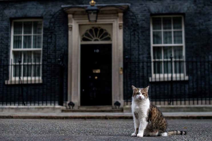 LONDON, ENGLAND - JUNE 11: Larry, the Downing Street cat, sits in the street as ministers attend a cabinet meeting at 10 Downing Street on June 11, 2019 in London, England. Since Theresa May resigned as Prime Minister the final candidates for the Conservative Party leadership race have been confirmed, with 10 running to become the next Prime Minister. (Photo by Chris J Ratcliffe/Getty Images)