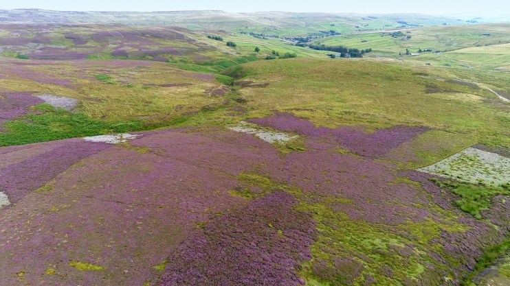 Northern Pennine Orefield, County Durham, Northeast of England