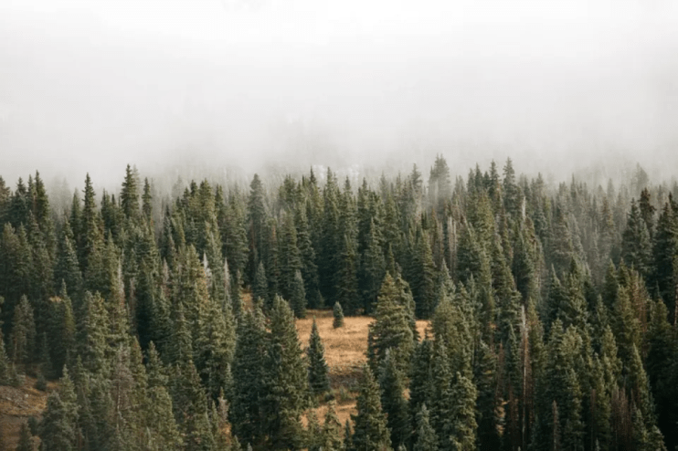 The strong performance of oil and gas firms after the war in Ukraine and regulatory issues have made investors question the ESG label in recent years.