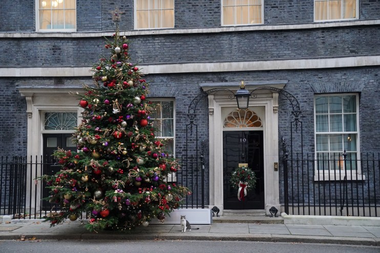 Downing Street Christmas Tree