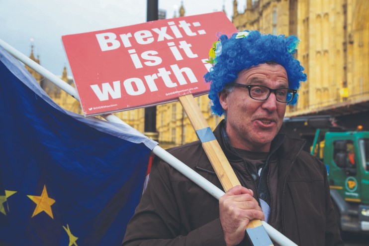(An anti brexit protester seen with his placard and a EU flag outside the house of parliament. -- Photo by Dinendra Haria/SOPA Images/LightRocket via Getty Images)