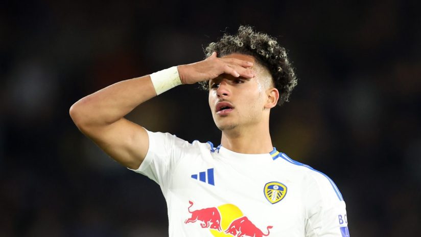 Leeds United are part-owned by Red Bull, which is set increase its football investment in 2025