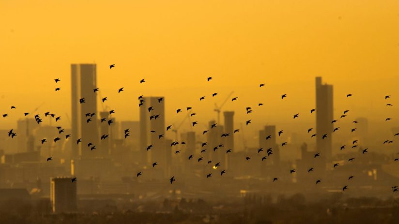 Venture capital funding in the UK is still the largest in Europe. (Photo by Anthony Devlin/Getty Images)