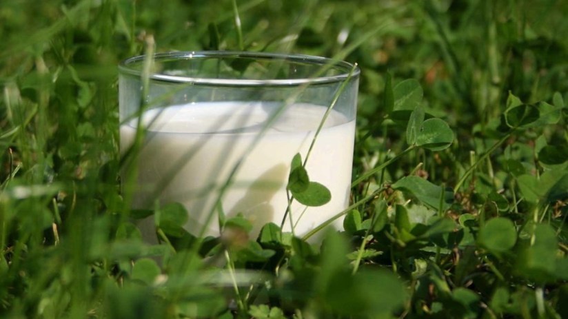 The UK arm of Arla Foods is based in Leeds.