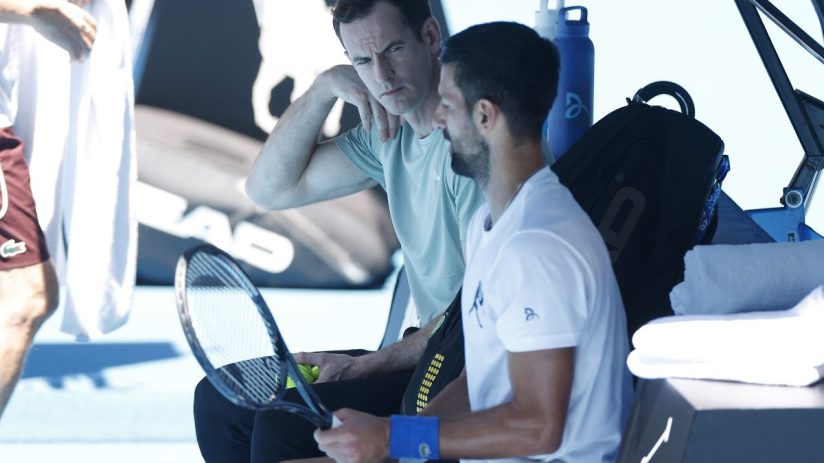 Andy Murray could coach Novak Djokovic at Wimbledon this year after the Serbian said his coaching partnership with the Brit was "indefinite".