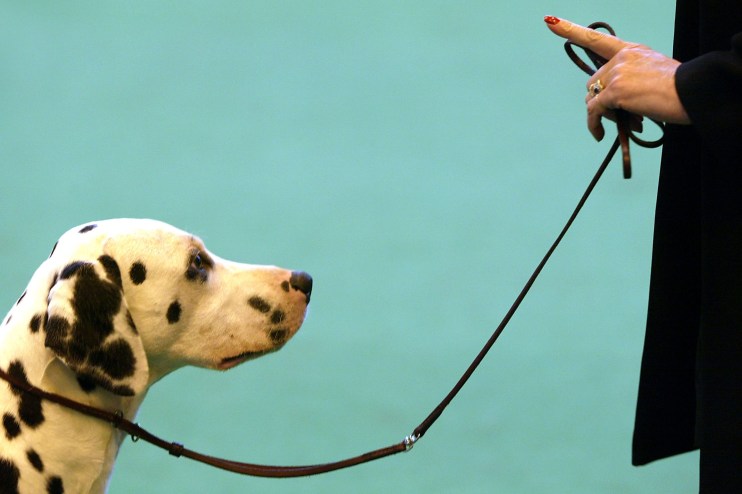 (Photo by Scott Barbour/Getty Images)