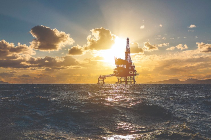 Top bosses have called on Rachel Reeves to remove windfall taxes on energy giants before the 2030 deadline.