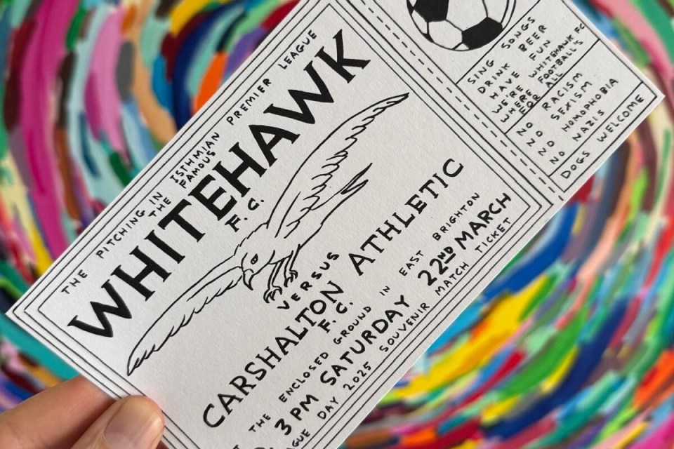 The 'Priceless Ticket' created by the artist costs £13 for adults