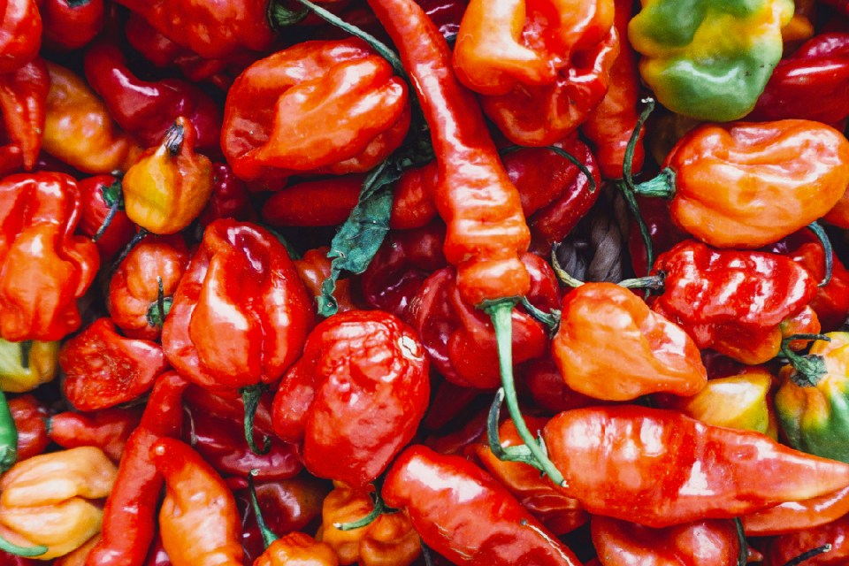Dave's Hot Chicken uses the Carolina Reaper, the hottest chilli available to buy