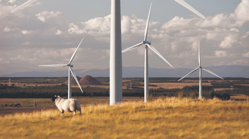 Banks are reluctant to finance offshore wind projects according to a new report