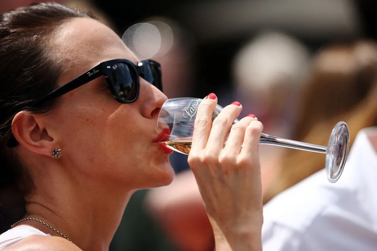 Sales of Champagne Lanson suffered a sharp drop in 2024.