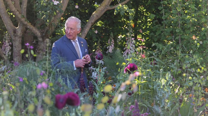 The King was not the shunned celeb in question at the Chelsea Flower Show (Photo by Toby Melville - WPA Pool/Getty Images)