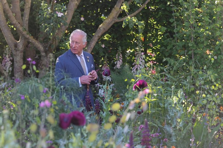 The King was not the shunned celeb in question at the Chelsea Flower Show (Photo by Toby Melville - WPA Pool/Getty Images)
