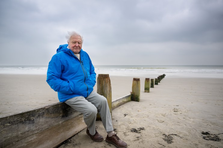 Sir David Attenborough 'really struggled' with being famous, his director told Morning Wire