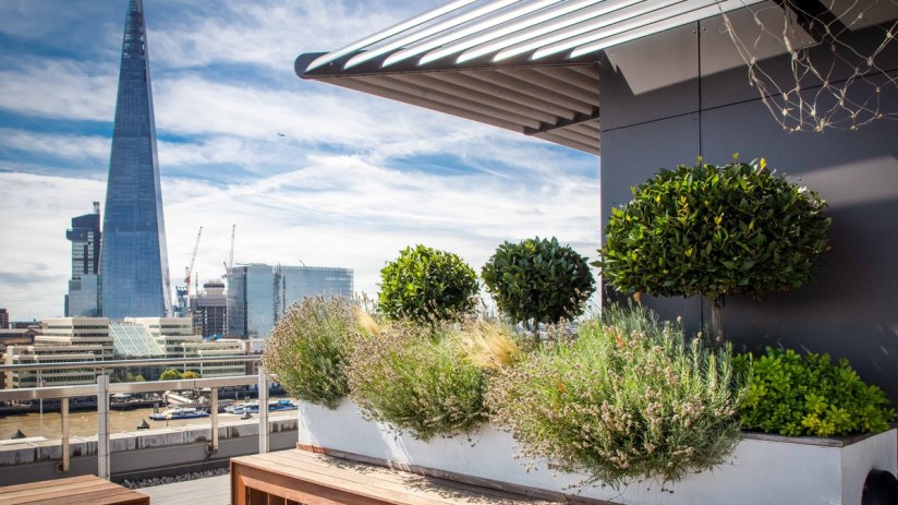 Office Space in town wants to herald a "new era" of office life. Credit: OSiT