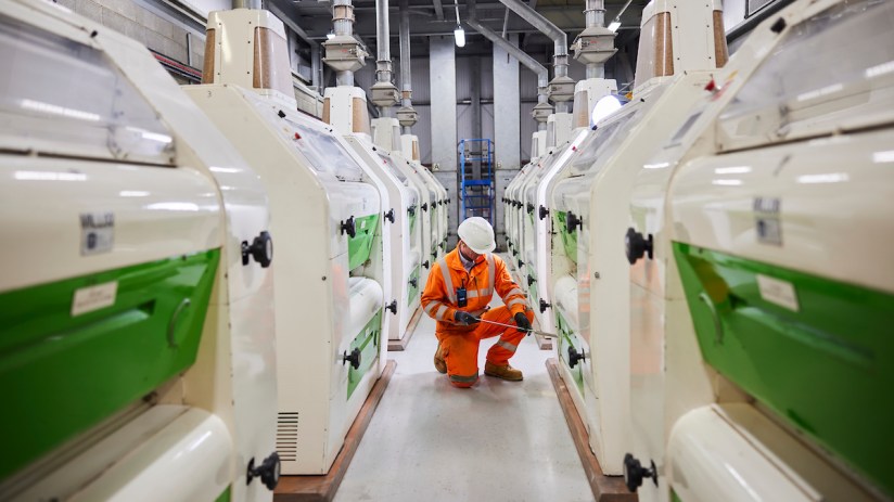 One of Britain's biggest bioethanol plants is at risk of closure unless the government intervenes