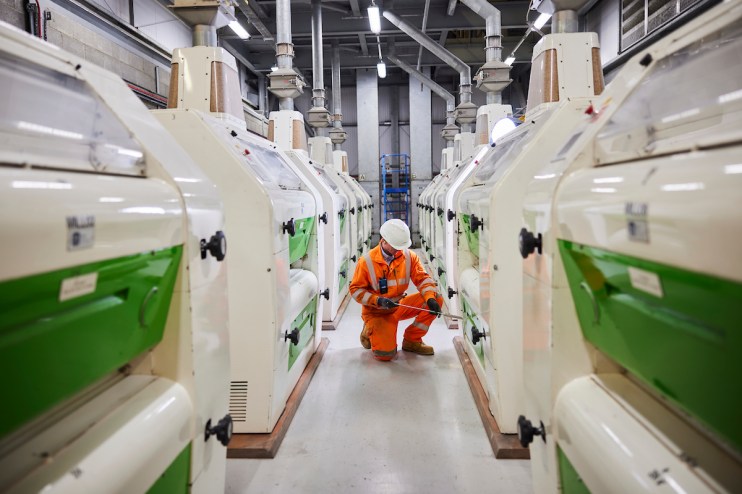 One of Britain's biggest bioethanol plants is at risk of closure unless the government intervenes