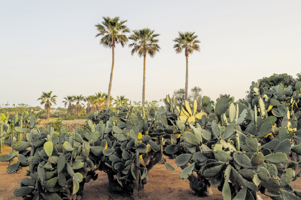 Vestige Son Vell, a newly established boutique hotel in southwestern Menorca