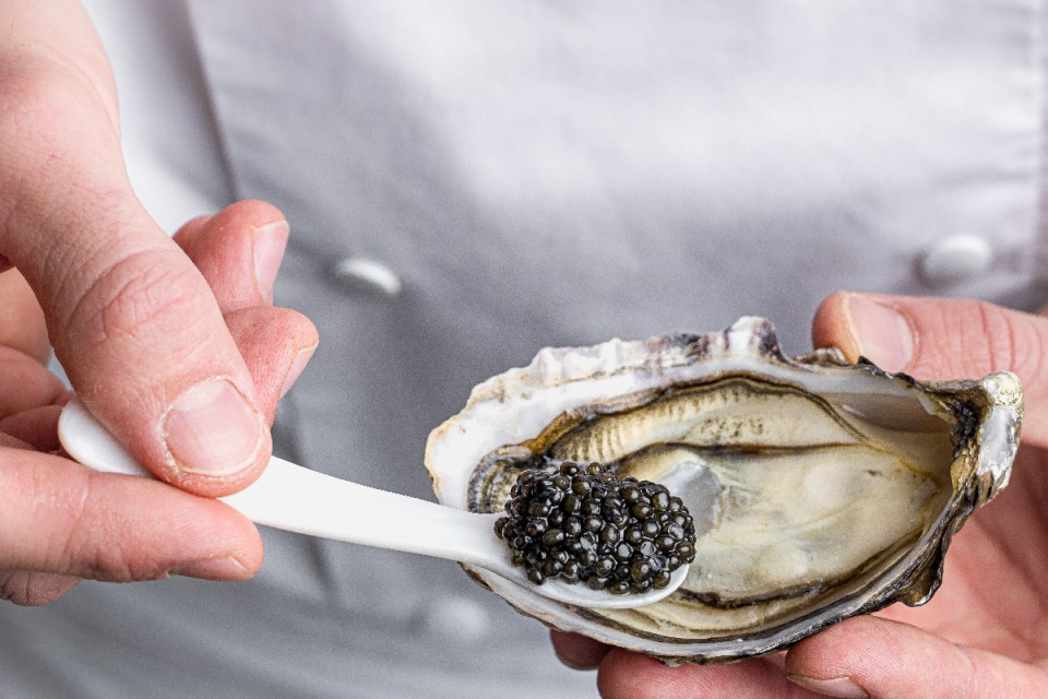Eating oysters and caviar after driving the Ferrari Purosangue
