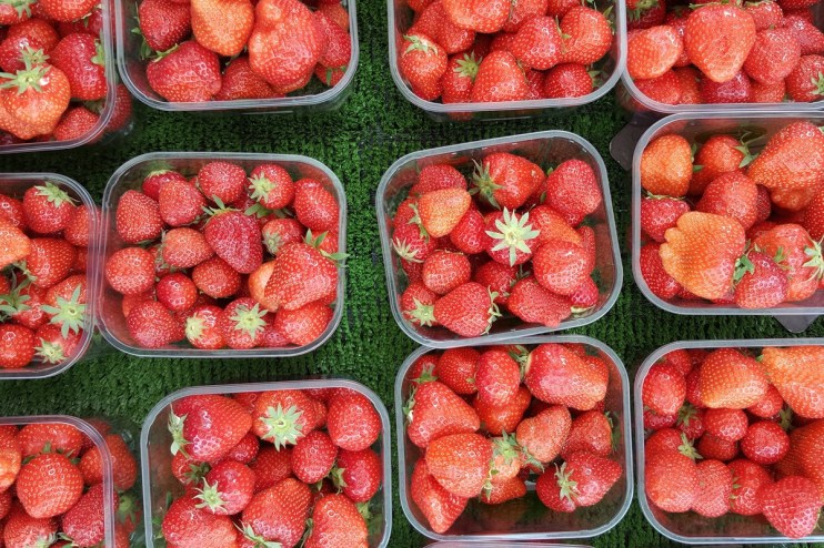 Sainsbury's, Tesco and Aldi got a boost in May. Credit: Priscilla Fong, Unsplash