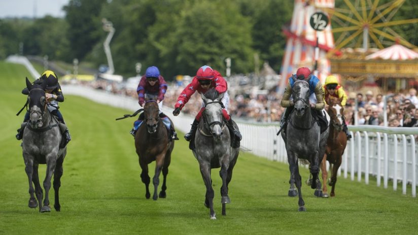 The BHA's Axe The Racing Tax petition comes ahead of Glorious Goodwood this week