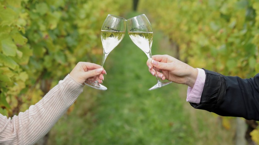 Flowering conditions in the southeast of England have been optimal this year. Image credit: Nyetimber