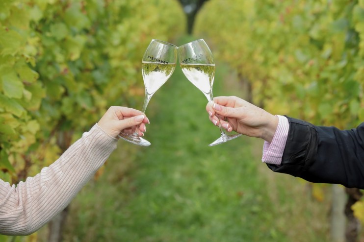 Flowering conditions in the southeast of England have been optimal this year. Image credit: Nyetimber