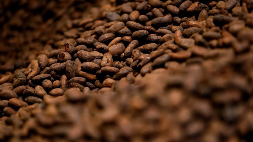 Cocoa prices in particular hit record highs amid adverse weather conditions and pest outbreaks in West Africa.(Photo by Justin Sullivan/Getty Images)