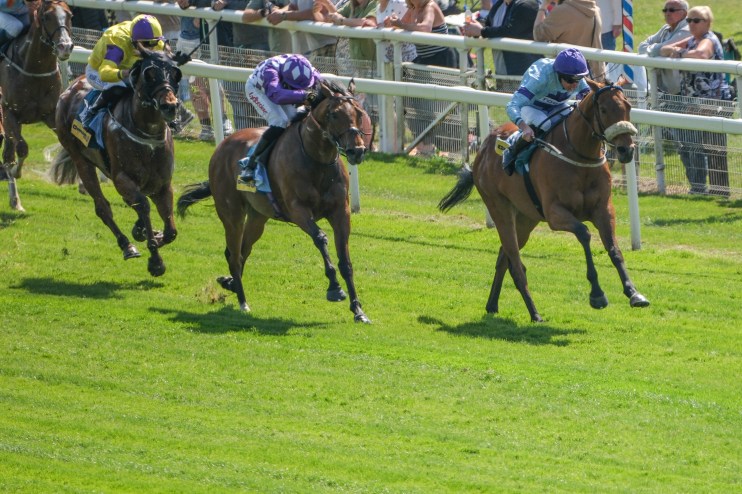 Jubilee galloping on the Knavesmire at York Racecourse during the Coral Sprint Trophy Handicap with spectators in the back...