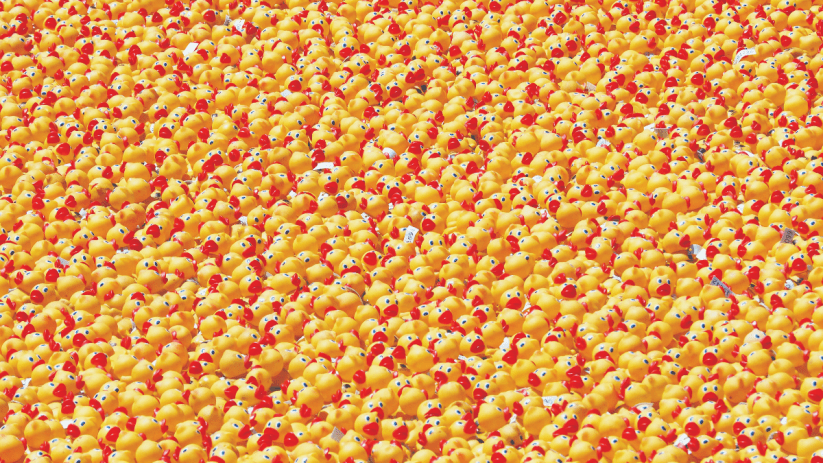 Can little rubber ducks solve loneliness? Inside the UK's strangest new trend