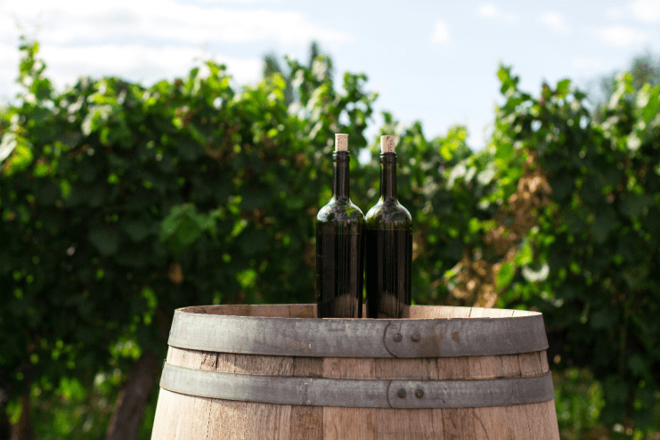The best South American wine to drink