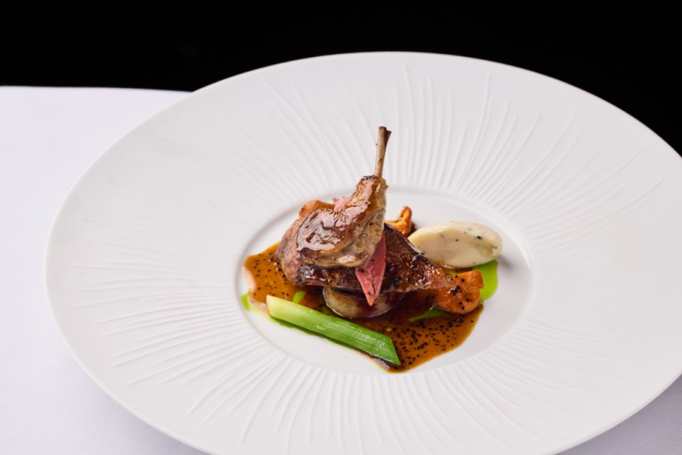 Gourmet dish featuring roasted pigeon elegantly plated with seasonal vegetables and a rich, savory sauce for a culinary ta...