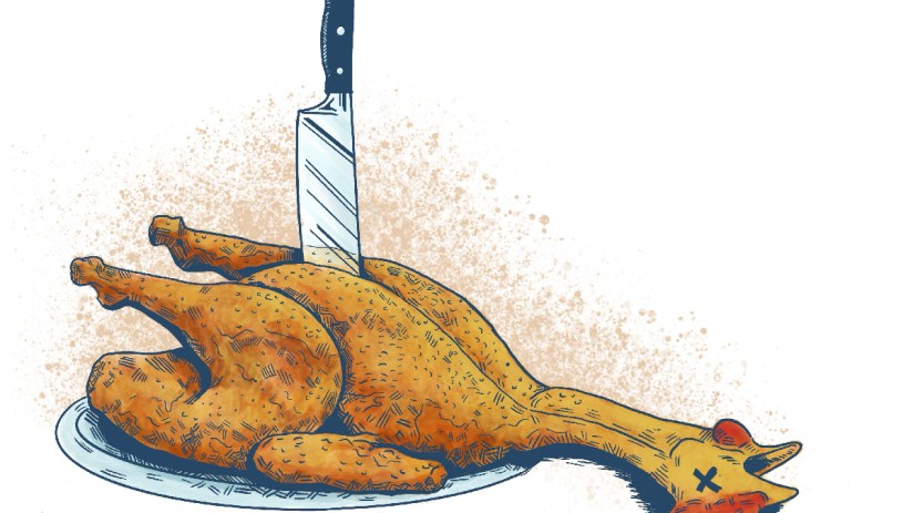 Dead chicken lying on the ground in a general news article context, highlighting agricultural or farm-related issues.