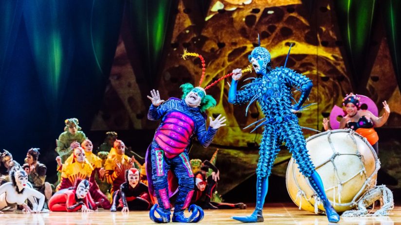 Cirque du Soleil OVO clowns performing in colorful costumes during a vibrant and captivating circus act