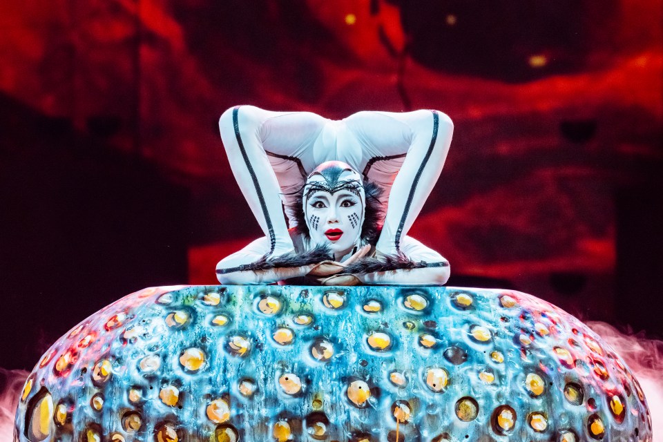 Cirque du Soleil OVO performer in intricate spider costume displaying acrobatic skills on stage