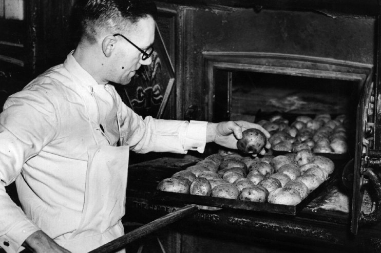 Freshly harvested potatoes piled in a field, showcasing their earthy texture and rich, natural colors against a rural back...