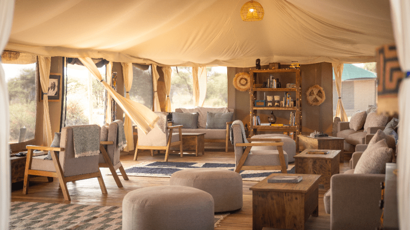 Tanzania hot air balloon safari over Serengeti, showcasing vibrant balloons and stunning savannah landscape at sunrise.