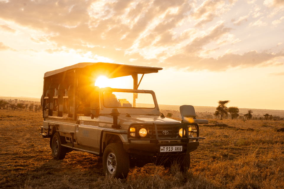 Majestic elephants roam the Serengeti under a vibrant sunset during a Tanzania safari adventure.