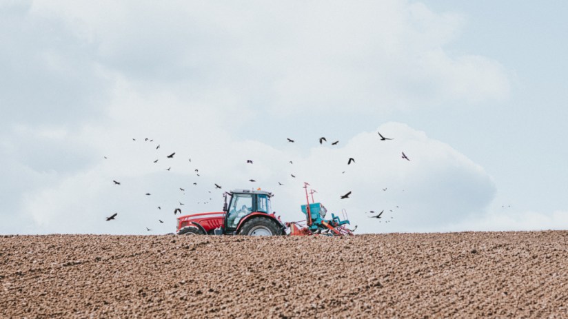 British farmland with lush green fields and grazing livestock under a clear blue sky, showcasing sustainable farming pract...