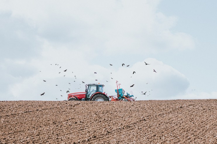 British farmland with lush green fields and grazing livestock under a clear blue sky, showcasing sustainable farming pract...