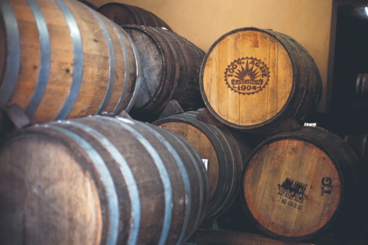 Tequila aging in wooden barrels at a distillery, highlighting the artisanal production process in the spirits industry.