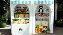 JellyCat plush toys showcased in a vibrant retail display, highlighting their variety and appeal in the general merchandis...