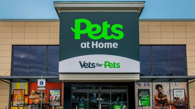 Pets at home enjoying playtime in a cozy living room setting, featuring a content cat lounging and a playful dog with a toy.