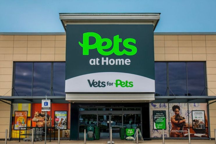 Pets at home enjoying playtime in a cozy living room setting, featuring a content cat lounging and a playful dog with a toy.