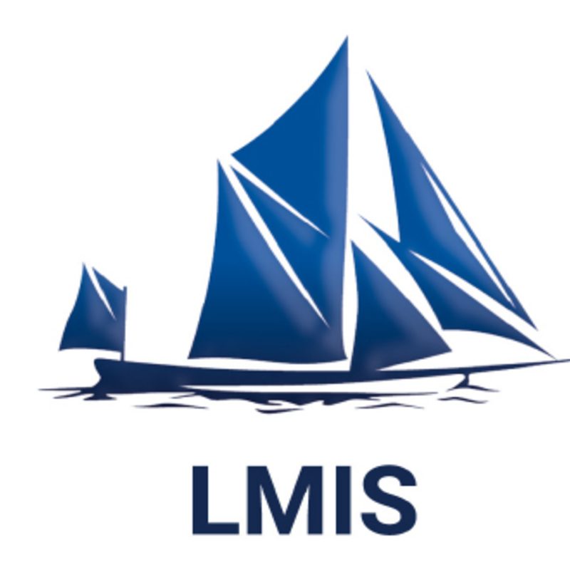 LMIS logo featuring bold lettering and a modern design, representing the brands identity in the business sector.