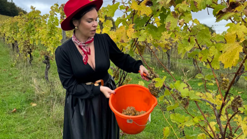 London wine event showcasing diverse selection of wines, attendees sampling and discussing flavors in a vibrant setting
