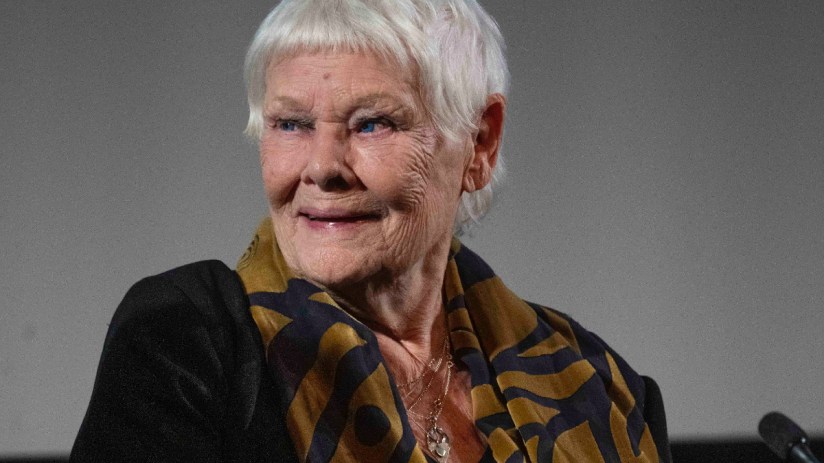 Judi Dench smiling at a public event, wearing a stylish outfit, with a backdrop suggesting a formal gathering or premiere.