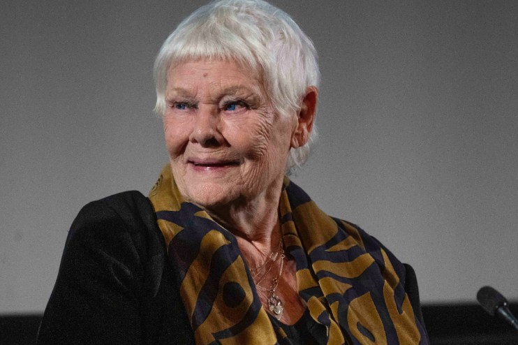 Judi Dench smiling at a public event, wearing a stylish outfit, with a backdrop suggesting a formal gathering or premiere.