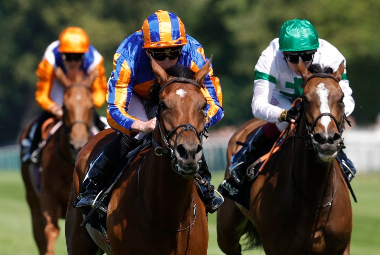 Jockeys in colorful silks riding thoroughbred horses during a close-up horse race on a sunny day