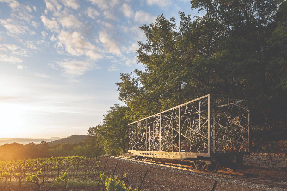 Billionaire former Claridges owners expansive French vineyard landscape under a clear sky